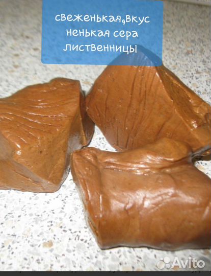 Свеженькая сера лиственницы 100гр