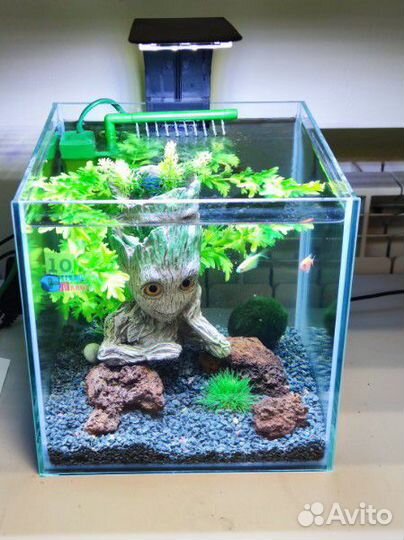Аквариум под ключ с петушком