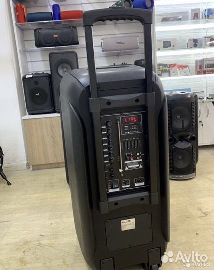 Колонка eltrinic 800ватт 2 микрофона