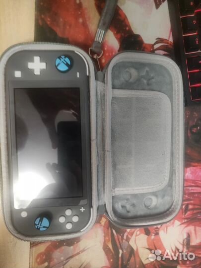Nintendo switch lite