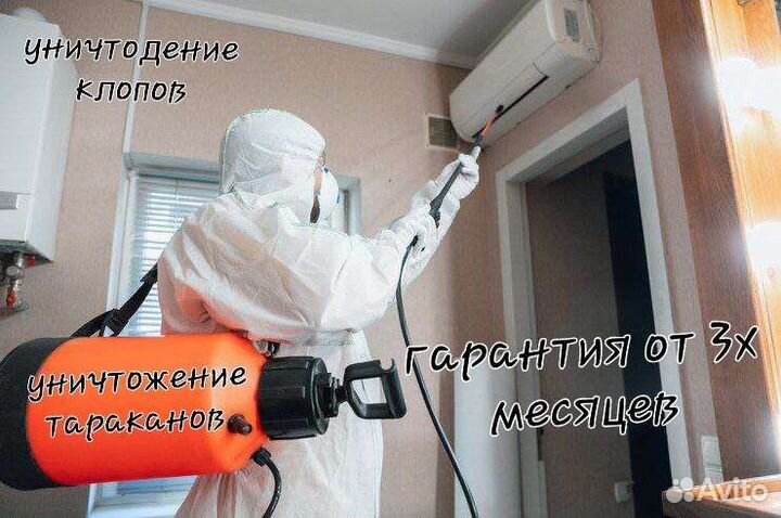 Травить тараканов,уничтожение клопов