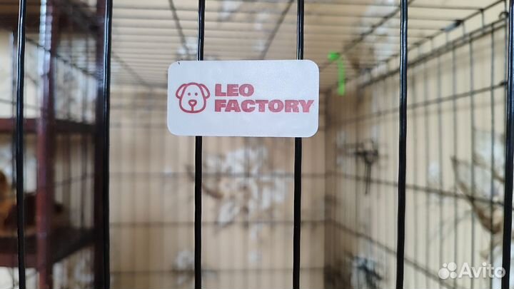 Клетка/вольер для собак средних пород