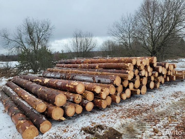 Лес кругляк