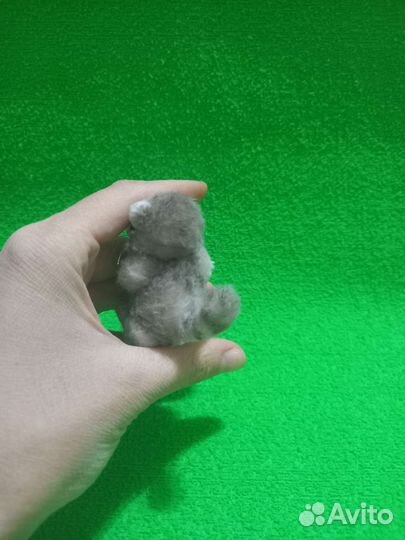 Енотик Мотя