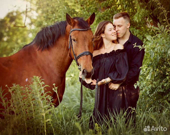Фотосессии с лошадьми