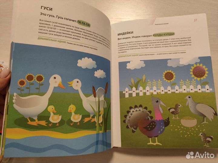 Годовой курс развивающих занятий от 1 до 2