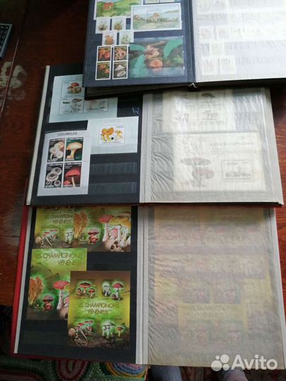 Коллекция марок с грибами