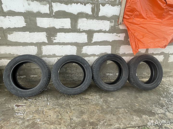 Gislaved Nord Frost 5 205/55 R16