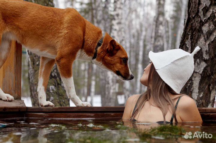 Баня на дровах