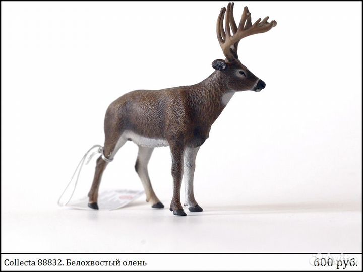 Животные Collecta и др (Новые)