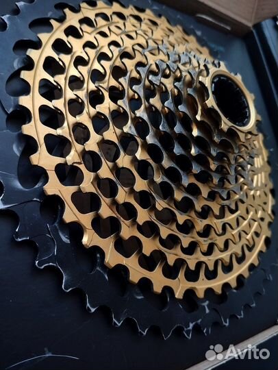 Sram xx1 10-50 xd