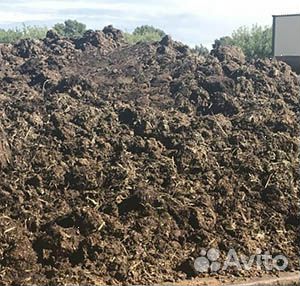 Навоз коровий