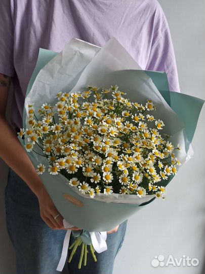 Букет из ромашек матрикария 9 веточек