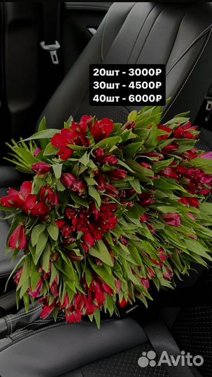 Альстромерия букет