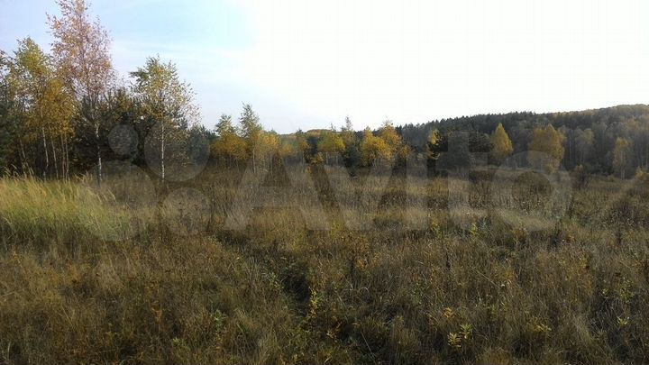 Участок 42,01 га (СНТ, ДНП)