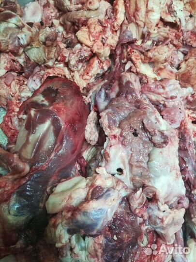 Продаю говяжью обрезь