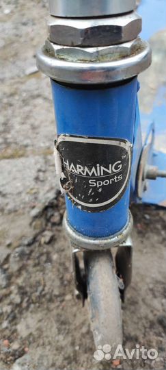 Детский самокат Двухколесный