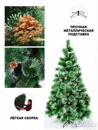 Сосна новогодняя