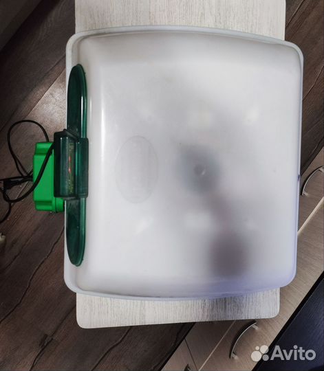 Инкубатор для яиц автоматический бу