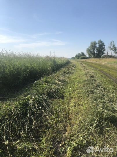 Сено в тюках с доставкой