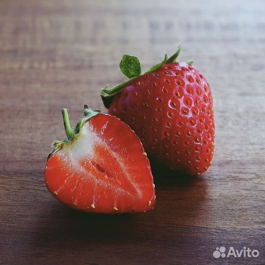 Рассада клубники аллегро, в горшке - в кассете 54