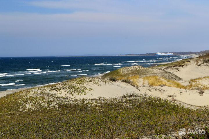 Индивидуальная экскурсия Балтийская коса+Балтийск