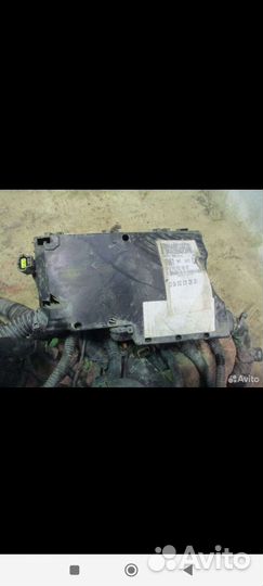 Проводка подкапотная Форд фокус 2