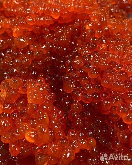 Красная икра Нерки 500 г. от производителя