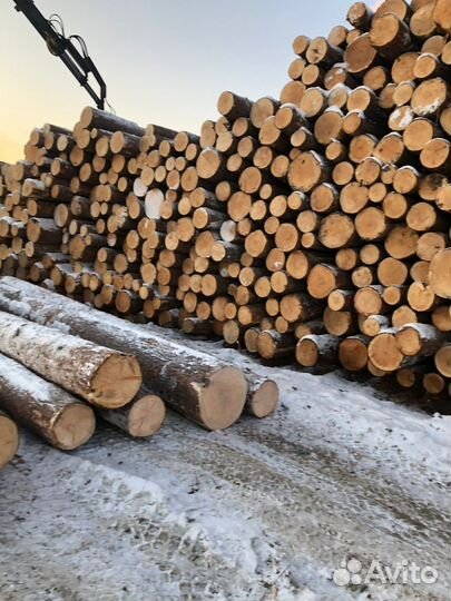 Лес Кругляк пиловочник Кедр Лиственица