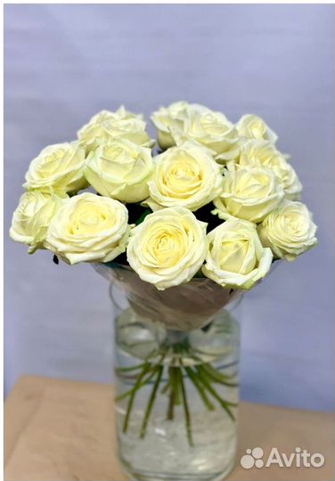 Свежий букет из 11 белых французских роз
