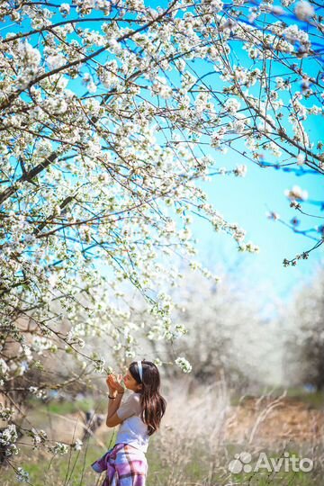 Цветущие сады