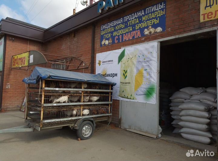 Корма для с/х животных