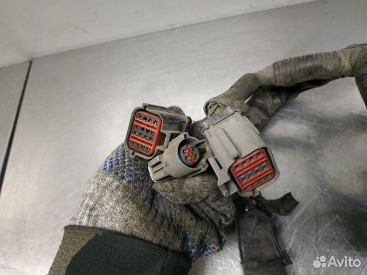 Проводка двс Ford Escape YF 2000