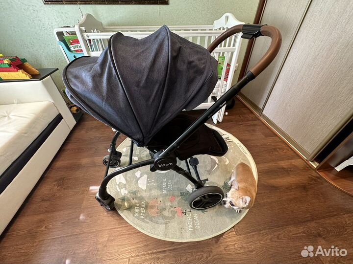 Коляска прогулочная rant bloom