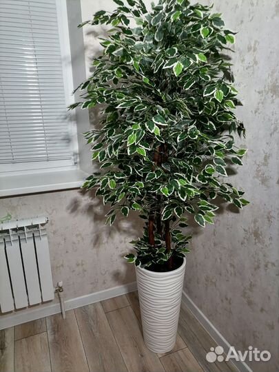 Искусственное дерево, фикус