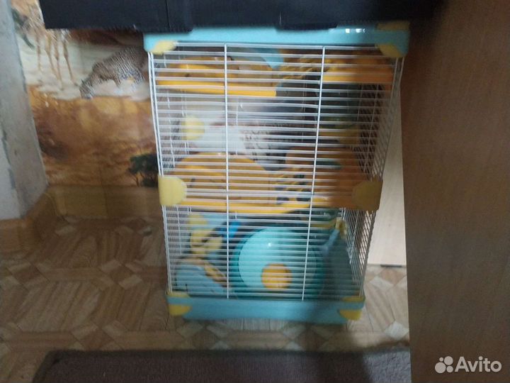 Когтеточка для кошек бу