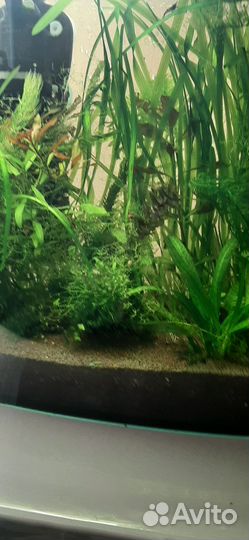 Украшение для аквариума