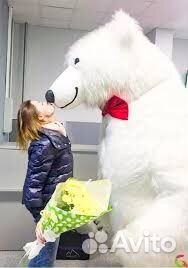 Поздравление от белого медведя мишки и разных