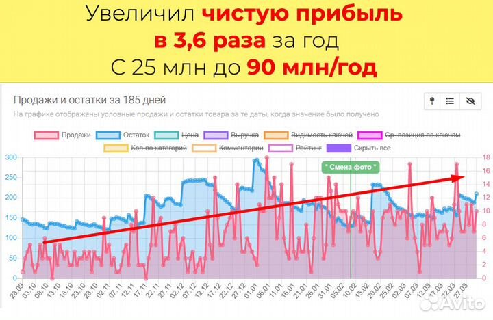 Инвестиции в действующий бизнес WB