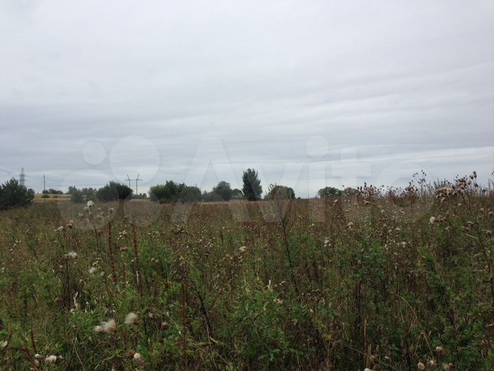 Участок 3,2 га (СНТ, ДНП)