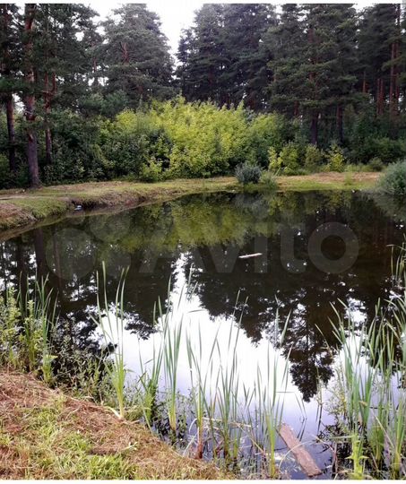 Участок 100 сот. (СНТ, ДНП)