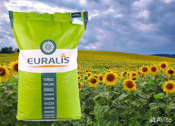 Семена подсолнечника Евралис Гибриды