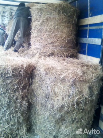 Сено и Солома