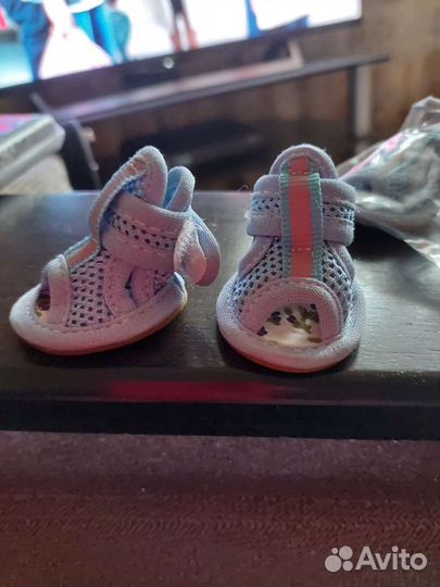 Босоножки для маленькой собачки