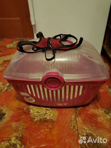 Переноска для котят и кроликов