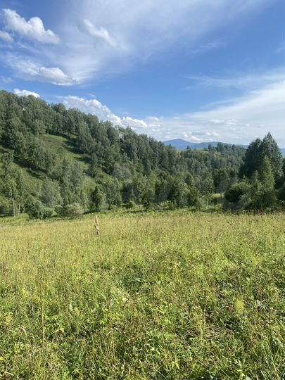 Участок 3 га (СНТ, ДНП)