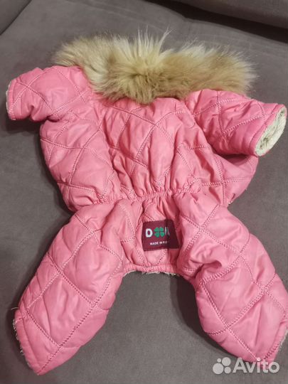 Одежда для маленьких пород собак