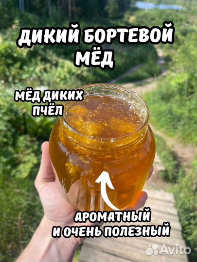 Отговорю покупать Дикий Бортевой мед