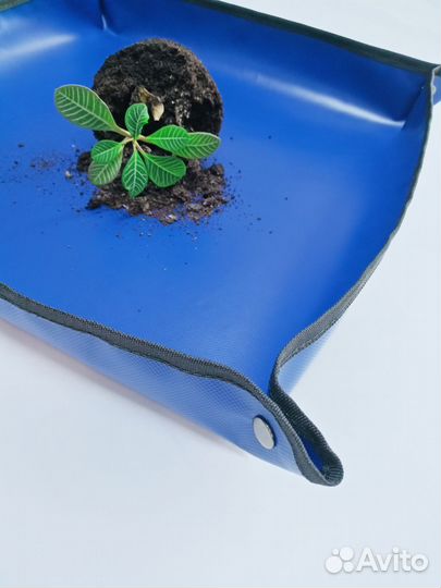 Лоток Коврик для Рассады Цветов, Огурцов, Перцев