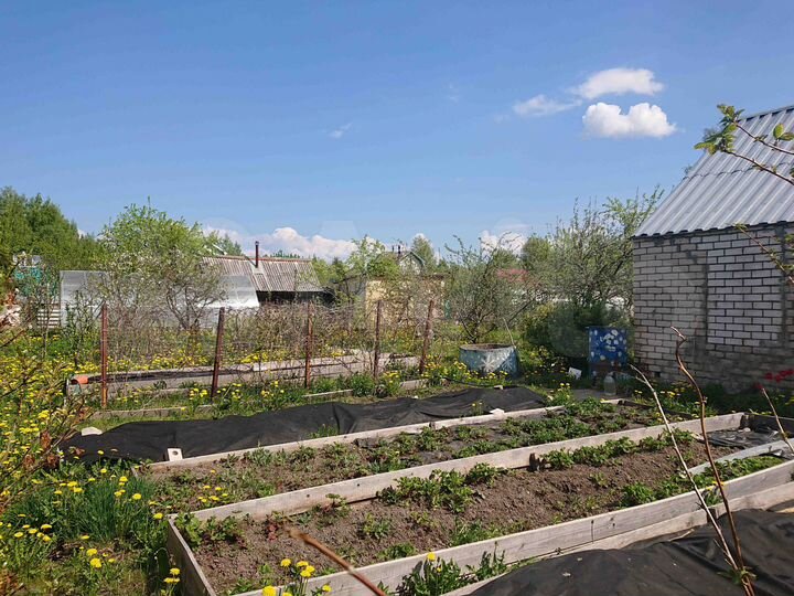 Дача 48 м² на участке 5,9 сот.